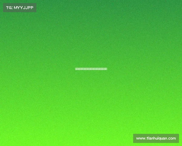 法乙联赛精准预测深度解析赛事前瞻与胜负玄机