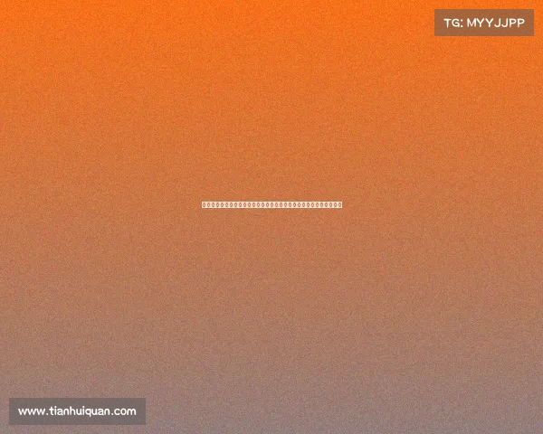 世界瞩目的散打最高赛事顶尖高手巅峰对决争夺王者桂冠荣耀武术舞台